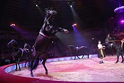 Jana Mandana Lacey-Krone mit ihren Pferden @ Circus Krone 2. Winterspielzeit 2019 (©Foto: Martin Schmitz)